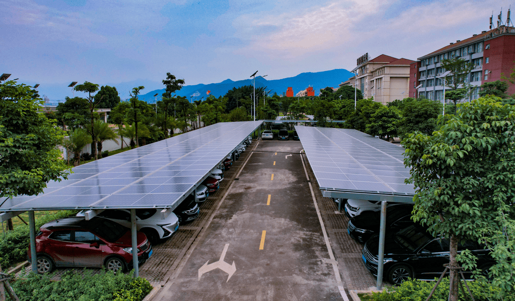 诚信为本 专业服务