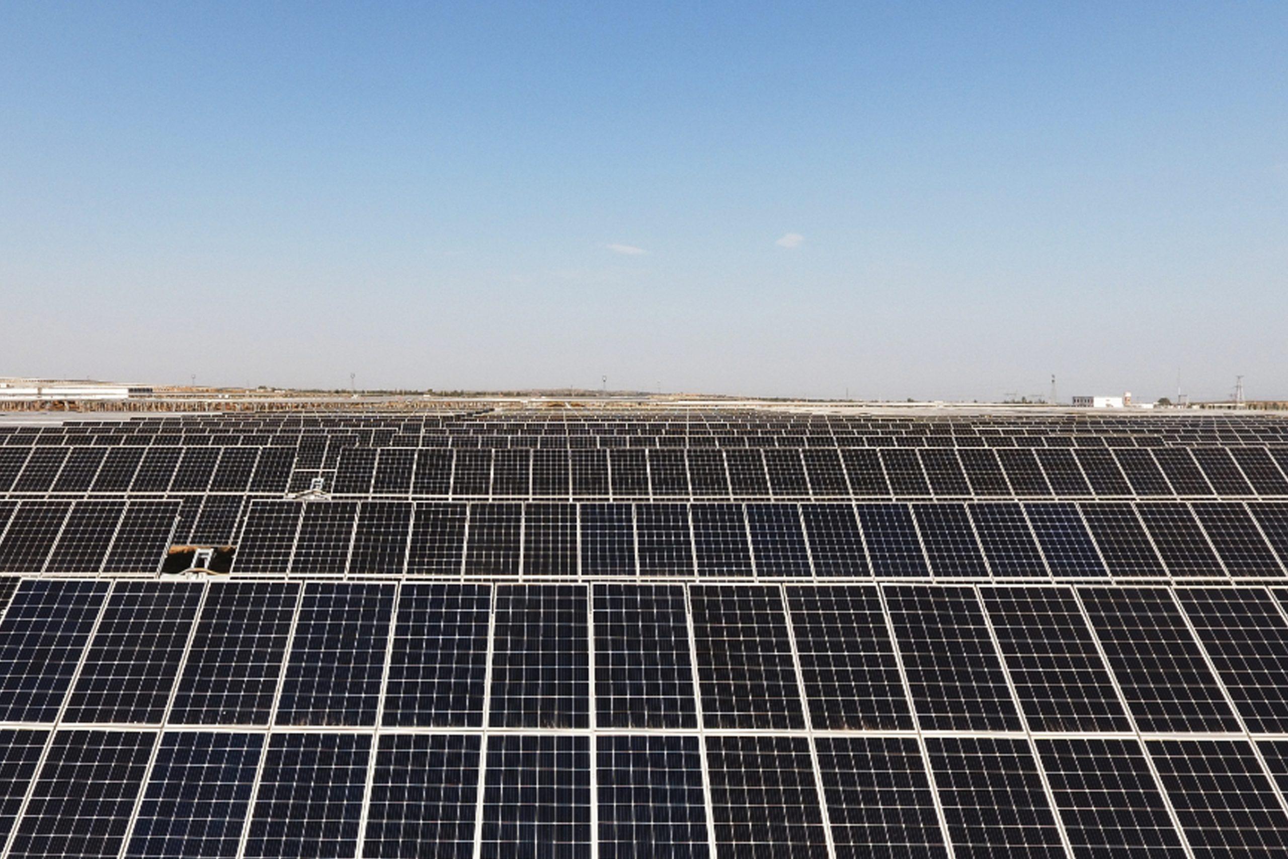 诚信为本 专业服务